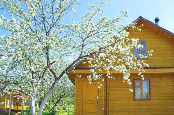 Москвичам без дачи аренда скромного дома в Подмосковье обойдется в 20 тыс. руб. в месяц