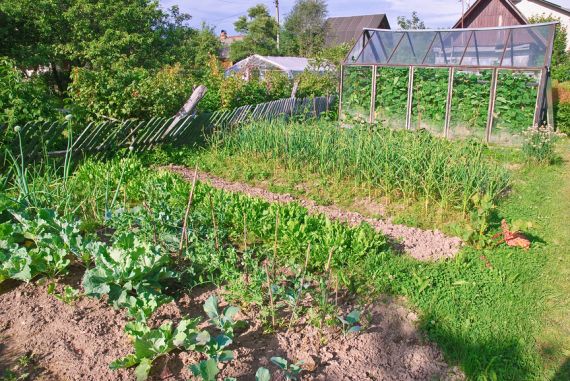 Земельный налог для владельцев 10 соток в Подмосковье увеличится