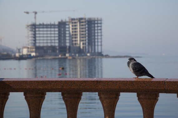 Поправки к 214-ФЗ угрожают небольшим застройщикам – СМИ