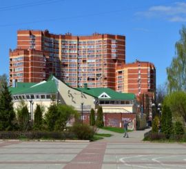 Более половины жилья, введенного в столице, строится в Новой Москве