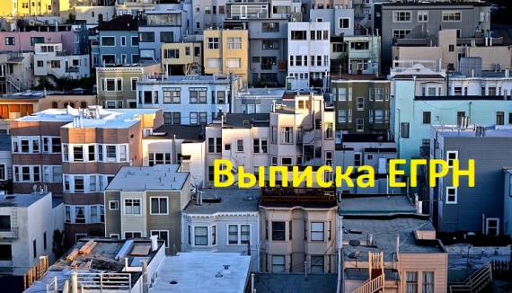 Справка ЕГРН — что это такое и где ее взять