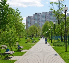 Эксперты рассказали о 10 районах Москвы с лучшей экологией