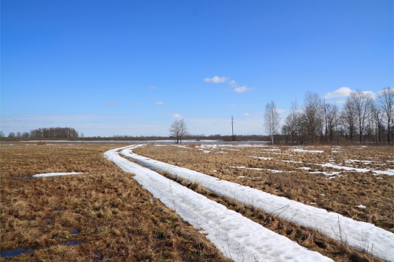 Московских студентов развели на деньги в обмен на несуществующие земельные участки