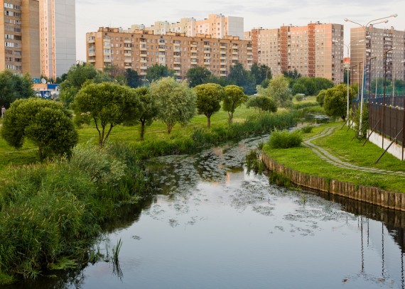 В Подмосковье нашли самые чистые города