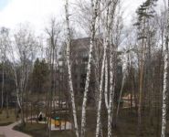 4-комнатная квартира площадью 175 кв.м, | цена 44 000 000 руб. | www.metrprice.ru