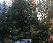 2-комнатная квартира площадью 35 кв.м, Парковая 2-я ул., 9 | цена 6 500 000 руб. | www.metrprice.ru